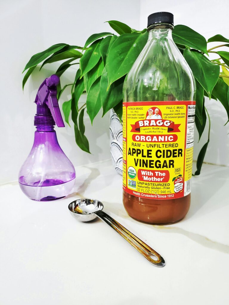 pexels-photo-3718457-3718457 Apple cider vinegar bottle with spray bottle and spoon near an indoor plant.