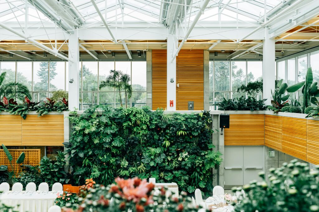 pexels-photo-539403-539403 A contemporary indoor setting with lush green plants and wooden accents, showcasing modern botanical design.