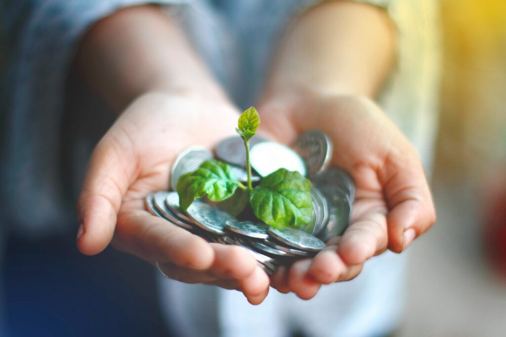 pexels-photo-5550904-5550904 Hands cupping coins with a green plant sprouting, symbolizing financial growth.