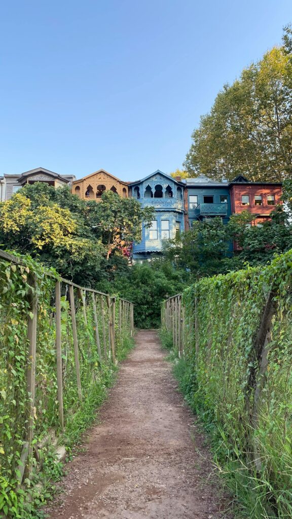 Vibrant colorful houses seen from a lush green pathway under a clear sky.